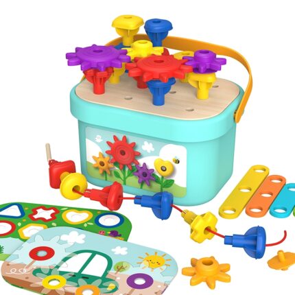 Montessori galvosūkių dėžutės rinkinys| TOOKY TOY TJ631